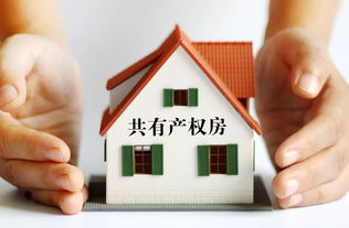 怎么知道房产有政府监管 怎么知道房产有政府监管