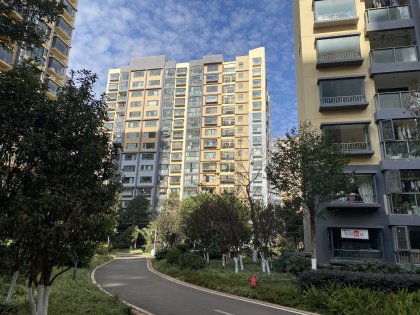 泽飞房产怎么样