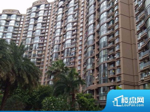 厦门国贸房产怎么样