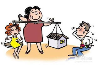 新房产法婚后怎么分割