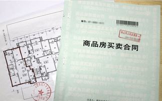 怎么申请房产共有权证