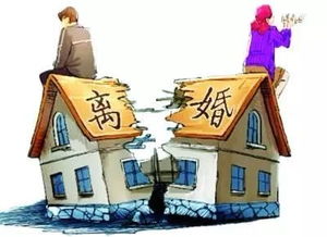 共同出资房产怎么分割