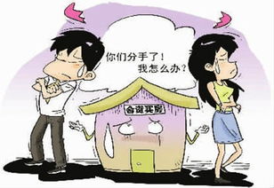 共同出资房产怎么分割