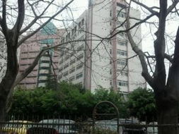 在深圳怎么查小孩房产