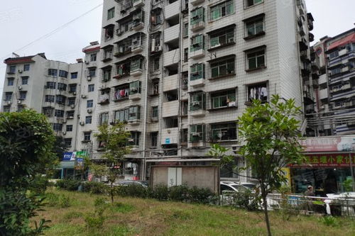 新洲东岳村房产怎么查