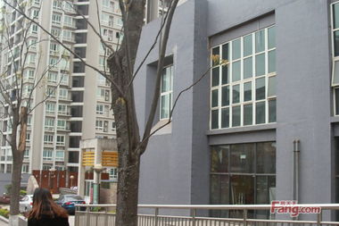 綦江的房产怎么样