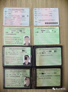 伪造房产证怎么处罚