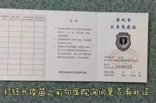 房产证复印怎么处理