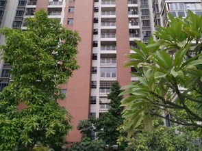 佛山星星房产怎么样