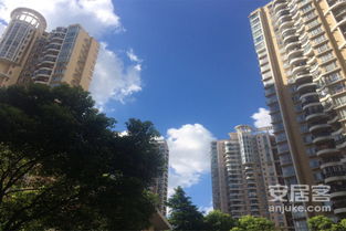 天山房产怎么样