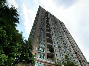 乐之家房产怎么样