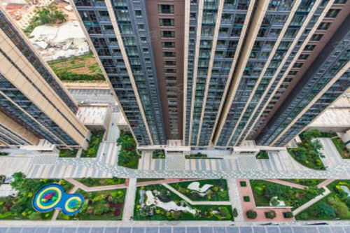 费县菁英房产怎么样