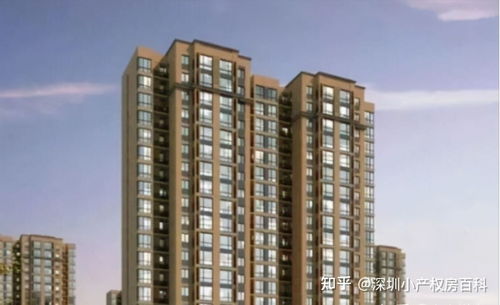 剩余安置房产权怎么算