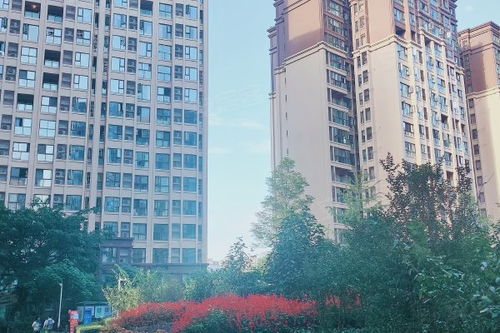 衡水卓越房产怎么样