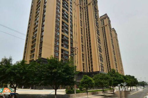 成都精选房产怎么样