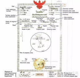 邢台房产产权调查怎么查