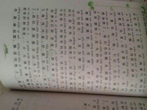 感恩房产小周记怎么写