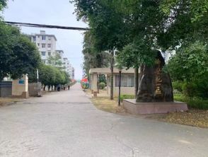 社区没收房产怎么办理