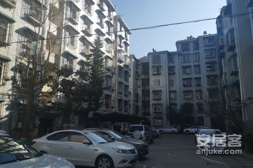 瑞安金星房产怎么样