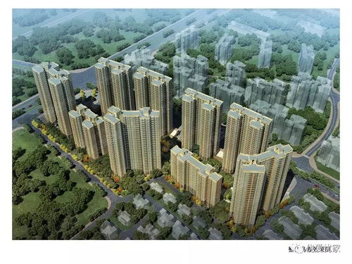 房产动态播报怎么弄