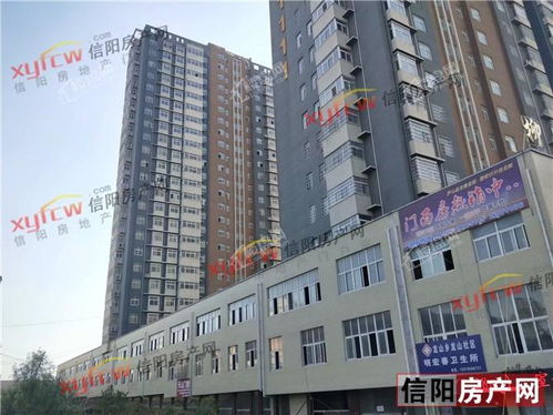 信阳美玲房产怎么样