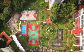 绿地房产购房记录怎么查