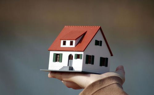 房产租住类型怎么填写好 房产租住类型怎么填写好