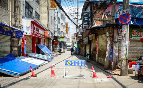 房产租住类型怎么填写好 房产租住类型怎么填写好