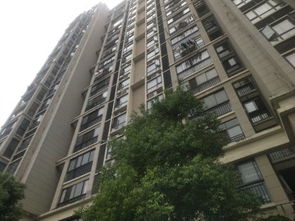 黄陂房产怎么分房的啊