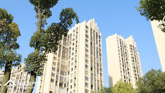 两处房产怎么选小学 两处房产怎么选小学