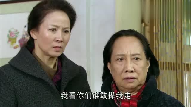 我的祖母怎么分房产