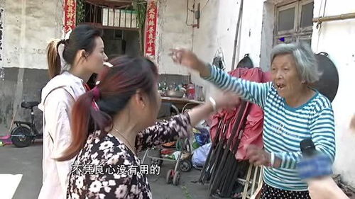 我的祖母怎么分房产