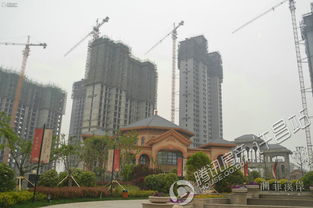 许昌怎么查房产已出售 许昌怎么查房产已出售