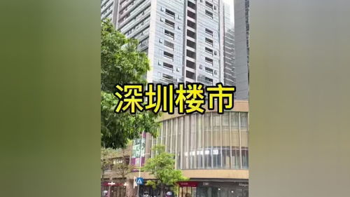 深圳房产打新怎么打
