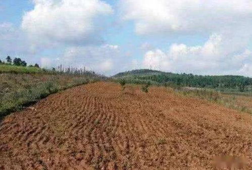 房产确权怎么知道是耕地