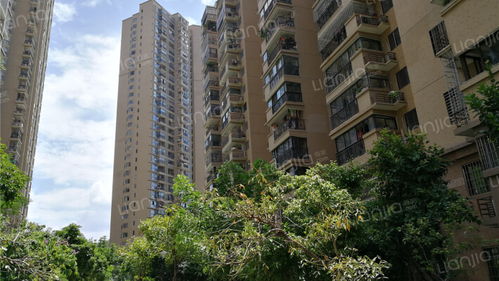 新麦房产怎么录房源 新麦房产怎么录房源