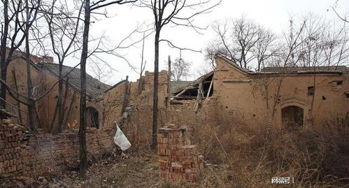 农村房产税怎么交