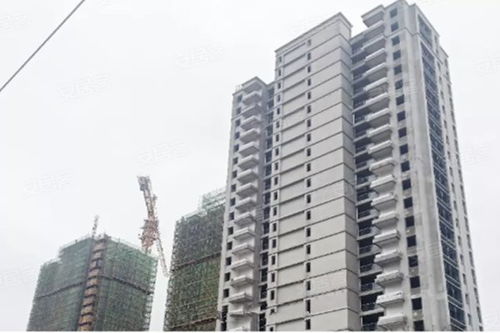 风越房产怎么样