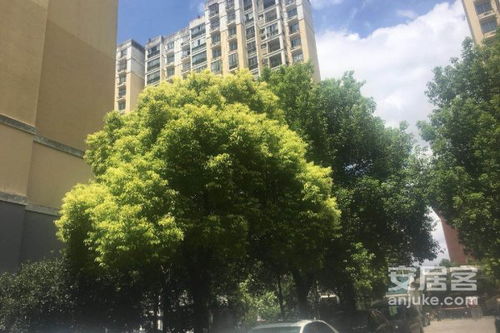 东居房产怎么样