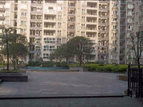 天佳房产怎么样