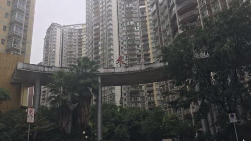 重庆房产怎么样的 重庆房产怎么样的