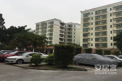 大信房产怎么样