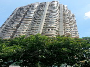 大信房产怎么样