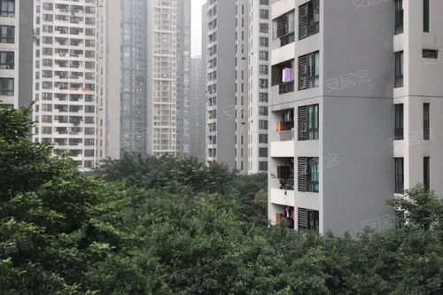 蓝色屋房产怎么样