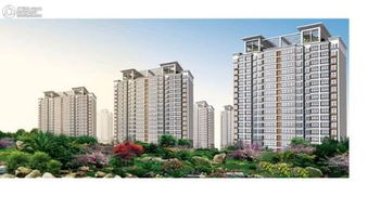 明康房产怎么样