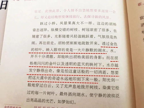 海洋房产日记怎么写 海洋房产日记怎么写