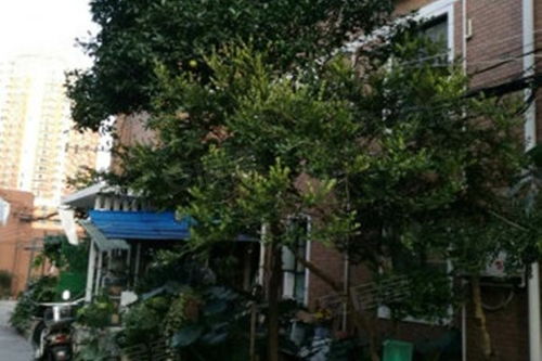 房产小区创意段子怎么写