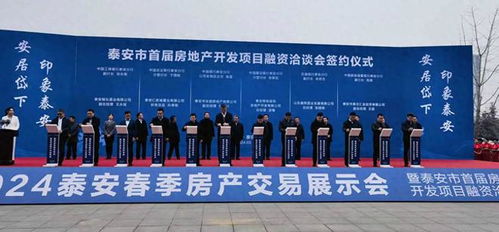 开发房产项目展示怎么写