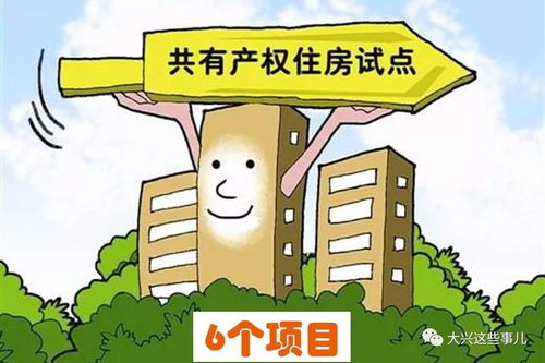 共有产权怎么索赔房产