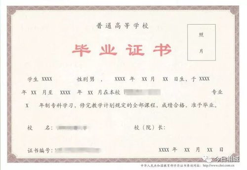 骗学历和房产怎么处理